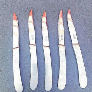 Stainless Steel Steak Knife Set - Silver Made in Italy 🇮🇹